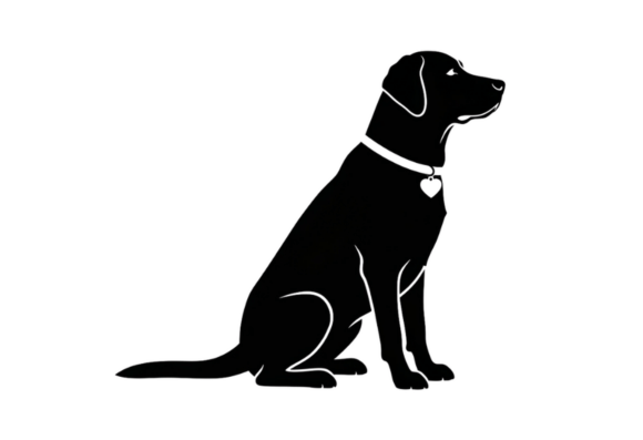 Black Labrador Dog Sitting Silhouette Review